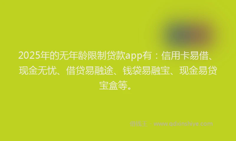 2025年的无年龄限制贷款app有：信用卡易借、现金无忧、借贷易融途、钱袋易融宝、现金易贷宝盒等。