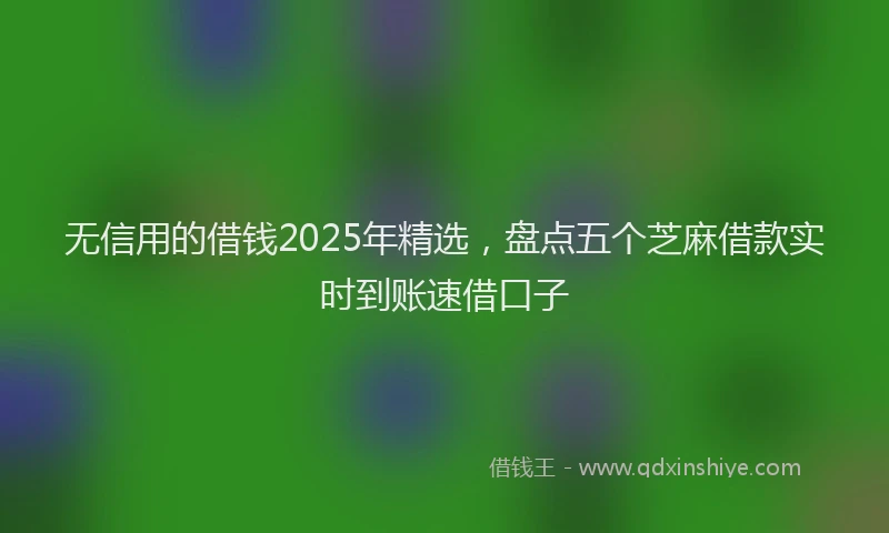 无信用的借钱2025年精选，盘点五个芝麻借款实时到账速借口子