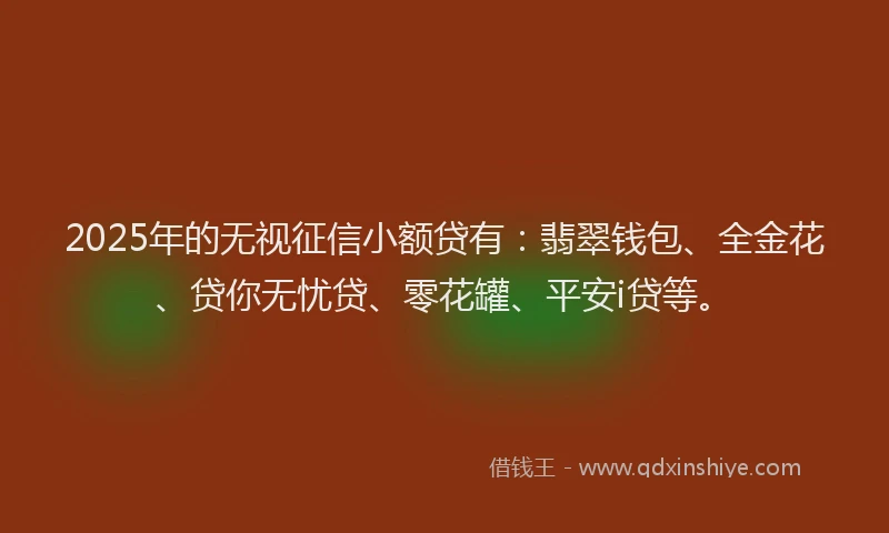 2025年的无视征信小额贷有：翡翠钱包、全金花、贷你无忧贷、零花罐、平安i贷等。
