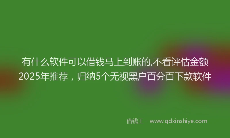 有什么软件可以借钱马上到账的,不看评估金额2025年推荐，归纳5个无视黑户百分百下款软件