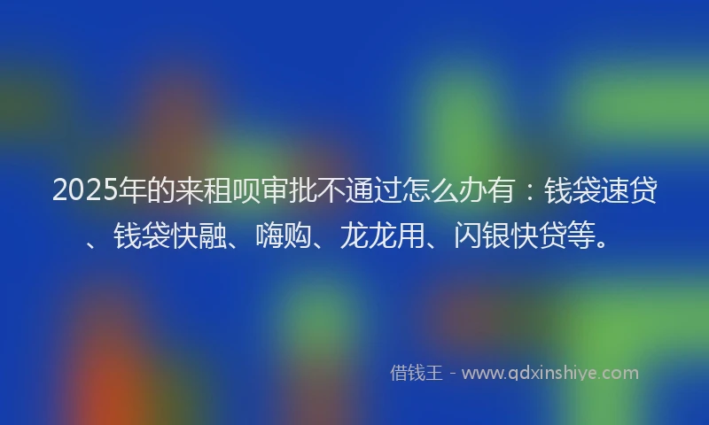 2025年的来租呗审批不通过怎么办有：钱袋速贷、钱袋快融、嗨购、龙龙用、闪银快贷等。