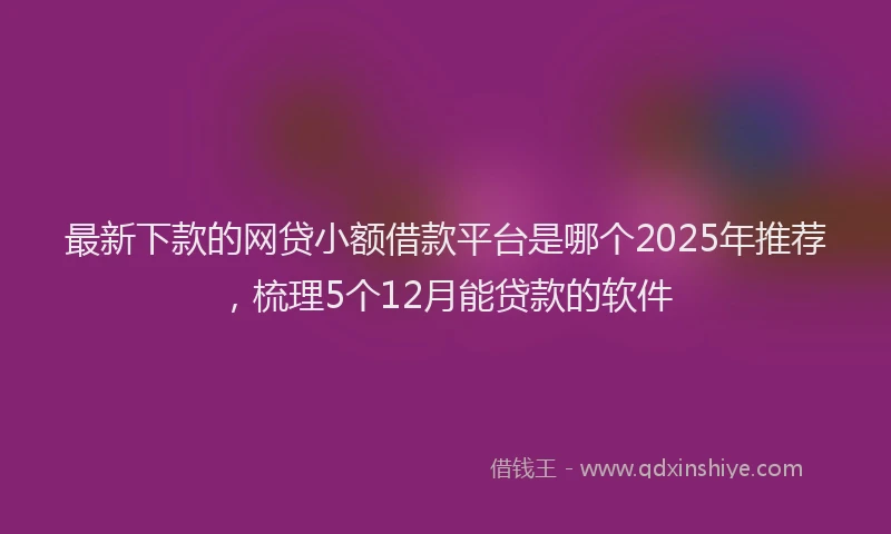 最新下款的网贷小额借款平台是哪个2025年推荐，梳理5个12月能贷款的软件