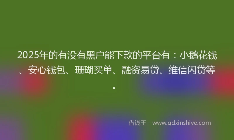 2025年的有没有黑户能下款的平台有：小鹅花钱、安心钱包、珊瑚买单、融资易贷、维信闪贷等。