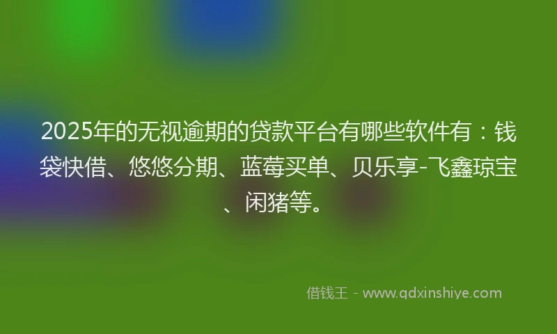 2025年的无视逾期的贷款平台有哪些软件有：钱袋快借、悠悠分期、蓝莓买单、贝乐享-飞鑫琼宝、闲猪等。