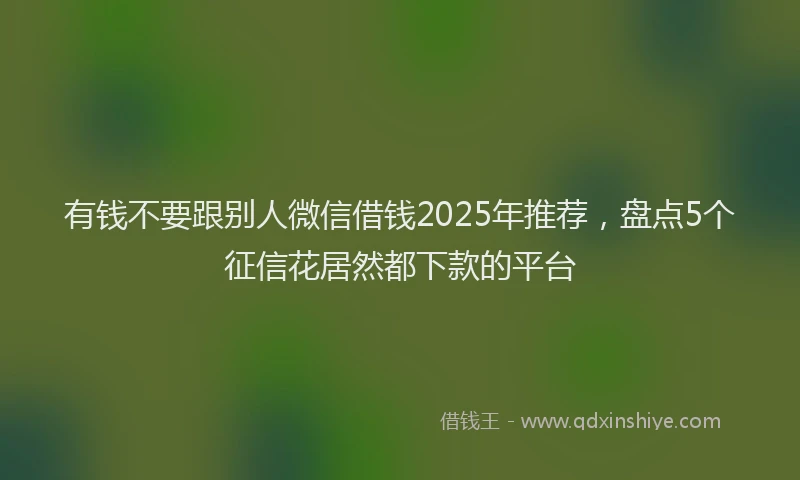 有钱不要跟别人微信借钱2025年推荐，盘点5个征信花居然都下款的平台