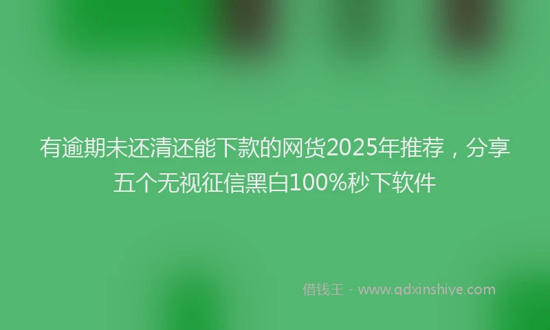 有逾期未还清还能下款的网货2025年推荐，分享五个无视征信黑白100%秒下软件