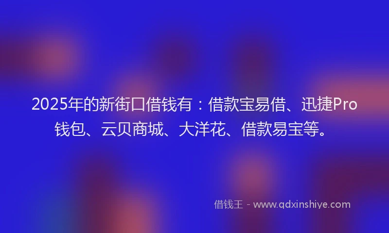 2025年的新街口借钱有：借款宝易借、迅捷Pro钱包、云贝商城、大洋花、借款易宝等。