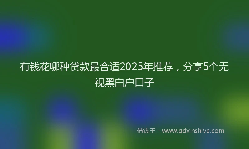 有钱花哪种贷款最合适2025年推荐，分享5个无视黑白户口子