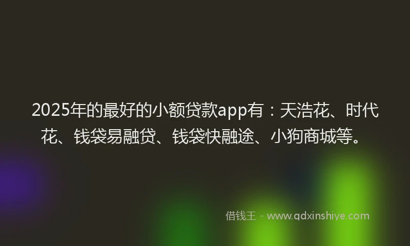 2025年的最好的小额贷款app有：天浩花、时代花、钱袋易融贷、钱袋快融途、小狗商城等。