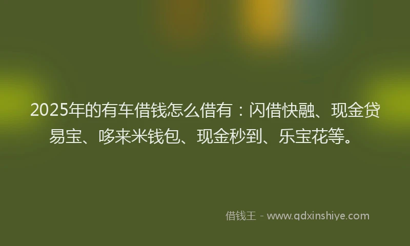 2025年的有车借钱怎么借有:闪借快融、现金贷易宝、哆来米钱包、现金秒到、乐宝花等。