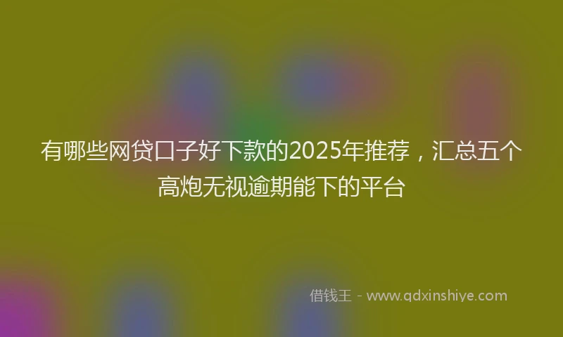 有哪些网贷口子好下款的2025年推荐，汇总五个高炮无视逾期能下的平台