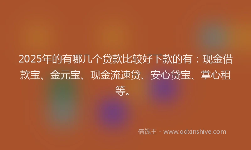 2025年的有哪几个贷款比较好下款的有：现金借款宝、金元宝、现金流速贷、安心贷宝、掌心租等。