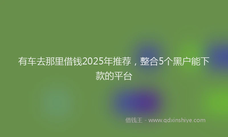 有车去那里借钱2025年推荐，整合5个黑户能下款的平台
