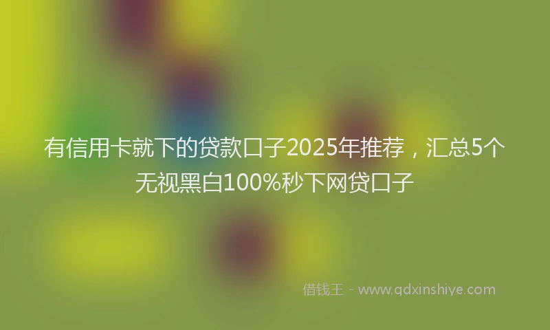 有信用卡就下的贷款口子2025年推荐，汇总5个无视黑白100%秒下网贷口子