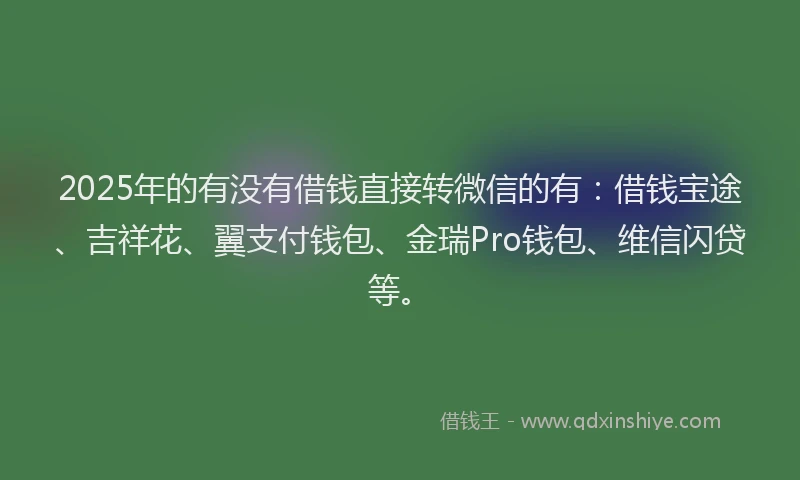 2025年的有没有借钱直接转微信的有：借钱宝途、吉祥花、翼支付钱包、金瑞Pro钱包、维信闪贷等。