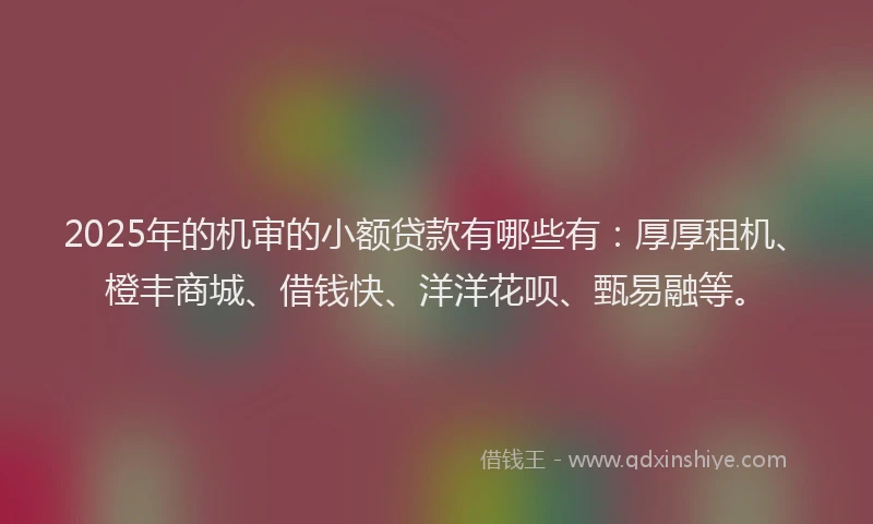 2025年的机审的小额贷款有哪些有：厚厚租机、橙丰商城、借钱快、洋洋花呗、甄易融等。