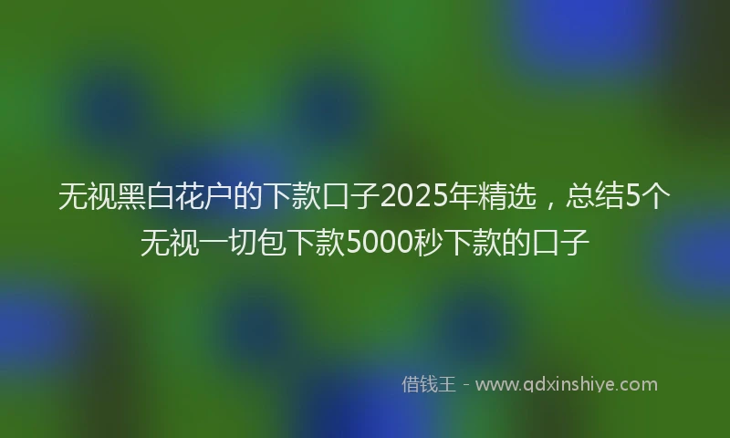 无视黑白花户的下款口子2025年精选，总结5个无视一切包下款5000秒下款的口子