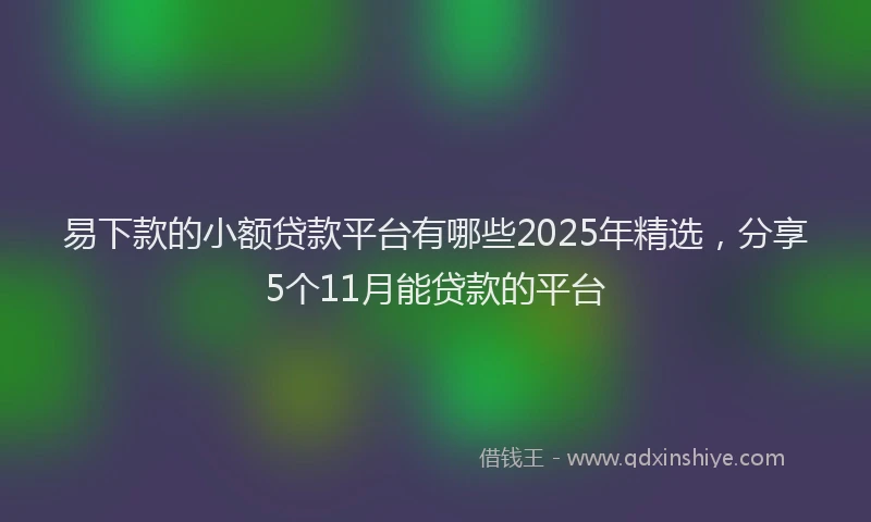 易下款的小额贷款平台有哪些2025年精选，分享5个11月能贷款的平台