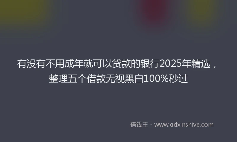 有没有不用成年就可以贷款的银行2025年精选，整理五个借款无视黑白100%秒过