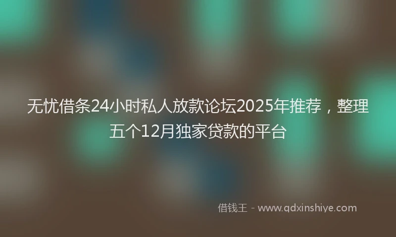 无忧借条24小时私人放款论坛2025年推荐，整理五个12月独家贷款的平台