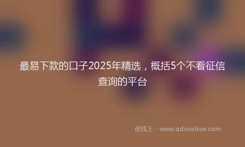 最易下款的口子2025年精选，概括5个不看征信查询的平台