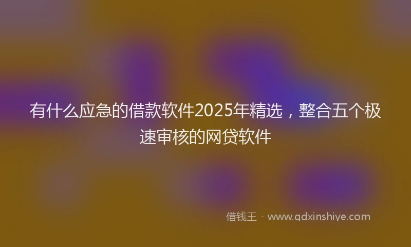 有什么应急的借款软件2025年精选，整合五个极速审核的网贷软件