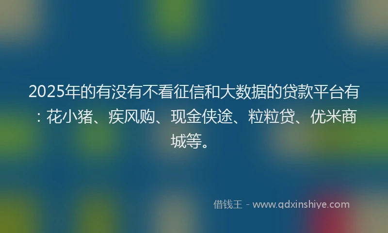 2025年的有没有不看征信和大数据的贷款平台有：花小猪、疾风购、现金侠途、粒粒贷、优米商城等。