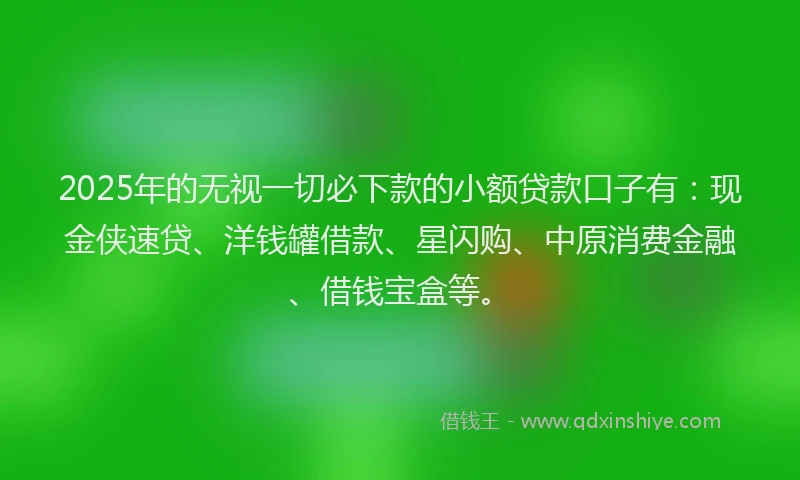 2025年的无视一切必下款的小额贷款口子有：现金侠速贷、洋钱罐借款、星闪购、中原消费金融、借钱宝盒等。