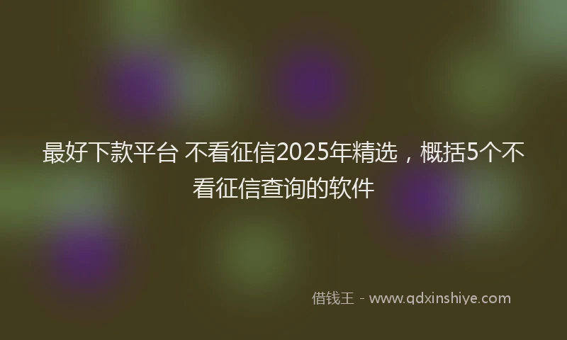 最好下款平台 不看征信2025年精选，概括5个不看征信查询的软件