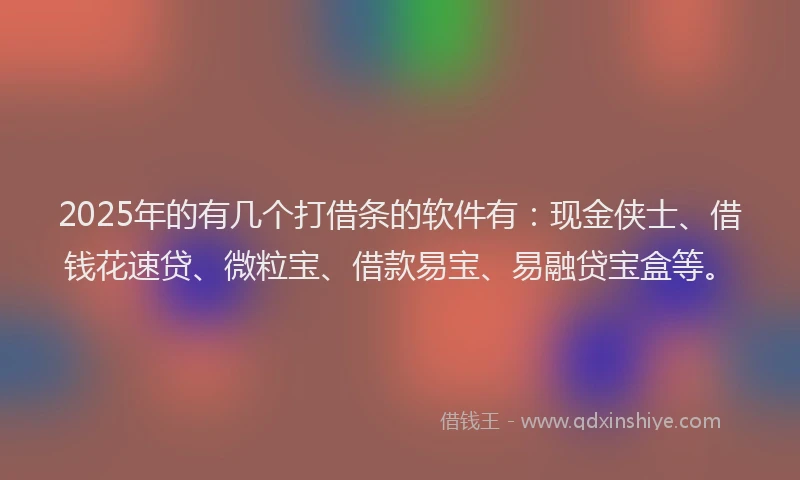 2025年的有几个打借条的软件有：现金侠士、借钱花速贷、微粒宝、借款易宝、易融贷宝盒等。