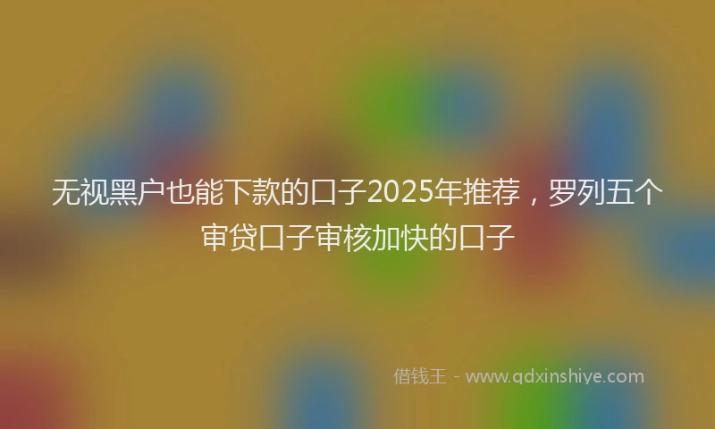 无视黑户也能下款的口子2025年推荐，罗列五个审贷口子审核加快的口子