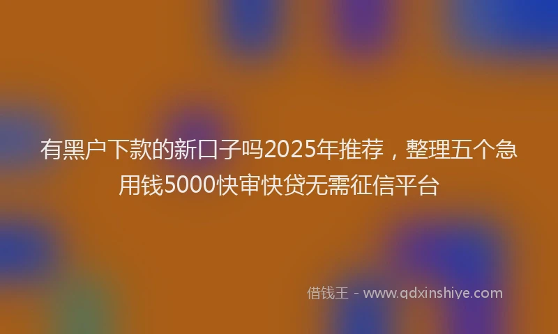 有黑户下款的新口子吗2025年推荐，整理五个急用钱5000快审快贷无需征信平台