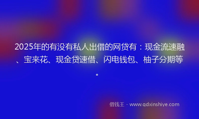 2025年的有没有私人出借的网贷有：现金流速融、宝来花、现金贷速借、闪电钱包、柚子分期等。