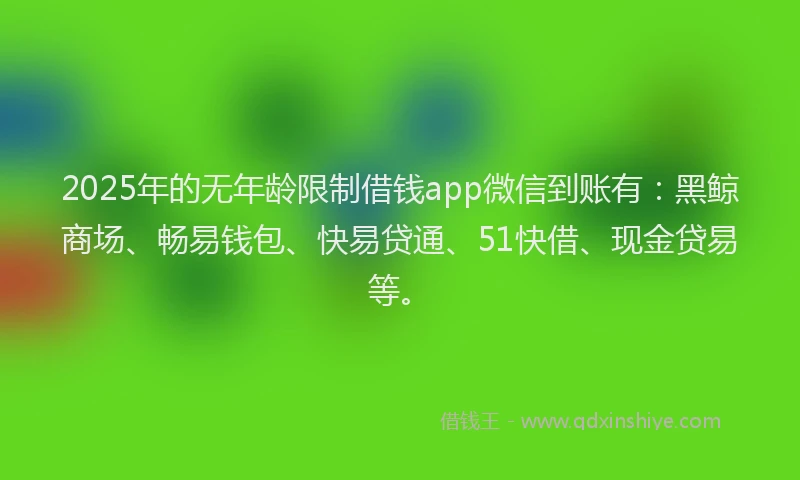 2025年的无年龄限制借钱app微信到账有：黑鲸商场、畅易钱包、快易贷通、51快借、现金贷易等。