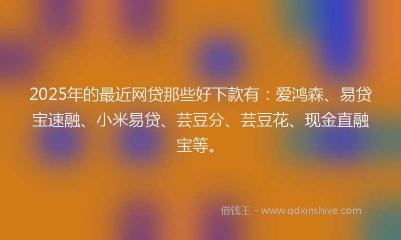 2025年的最近网贷那些好下款有：爱鸿森、易贷宝速融、小米易贷、芸豆分、芸豆花、现金直融宝等。
