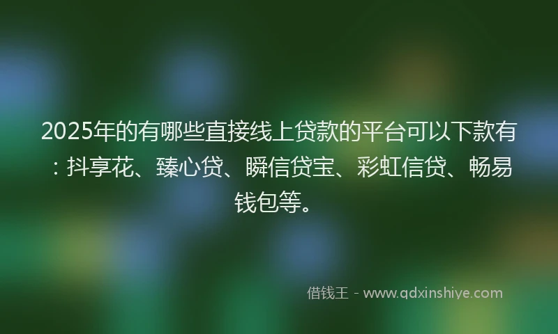 2025年的有哪些直接线上贷款的平台可以下款有：抖享花、臻心贷、瞬信贷宝、彩虹信贷、畅易钱包等。