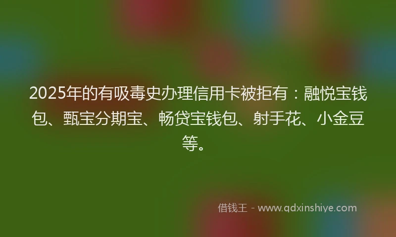 2025年的有吸毒史办理信用卡被拒有：融悦宝钱包、甄宝分期宝、畅贷宝钱包、射手花、小金豆等。