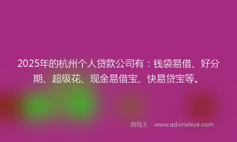 2025年的杭州个人贷款公司有：钱袋易借、好分期、超级花、现金易借宝、快易贷宝等。