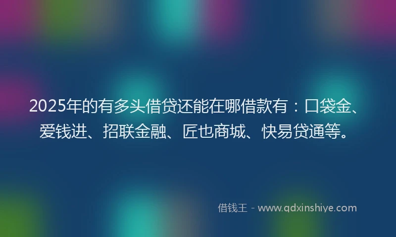 2025年的有多头借贷还能在哪借款有：口袋金、爱钱进、招联金融、匠也商城、快易贷通等。