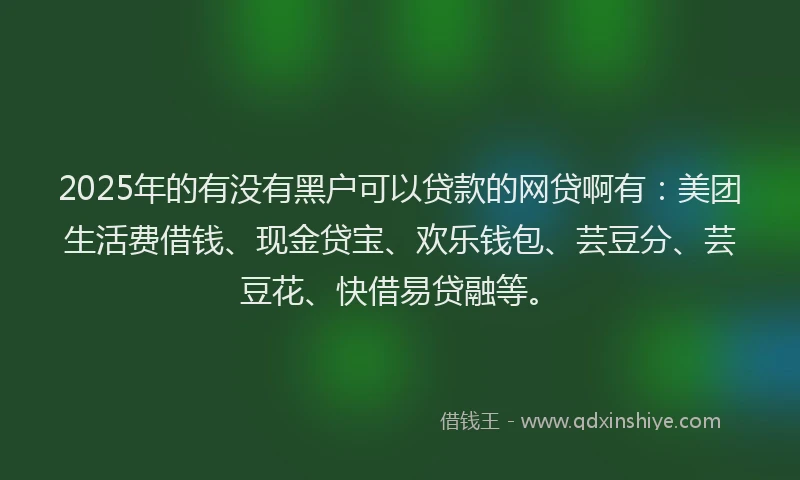 2025年的有没有黑户可以贷款的网贷啊有：美团生活费借钱、现金贷宝、欢乐钱包、芸豆分、芸豆花、快借易贷融等。
