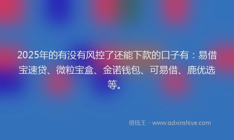 2025年的有没有风控了还能下款的口子有：易借宝速贷、微粒宝盒、金诺钱包、可易借、鹿优选等。