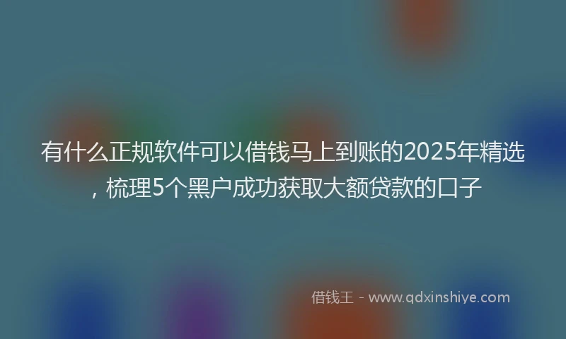 有什么正规软件可以借钱马上到账的2025年精选，梳理5个黑户成功获取大额贷款的口子