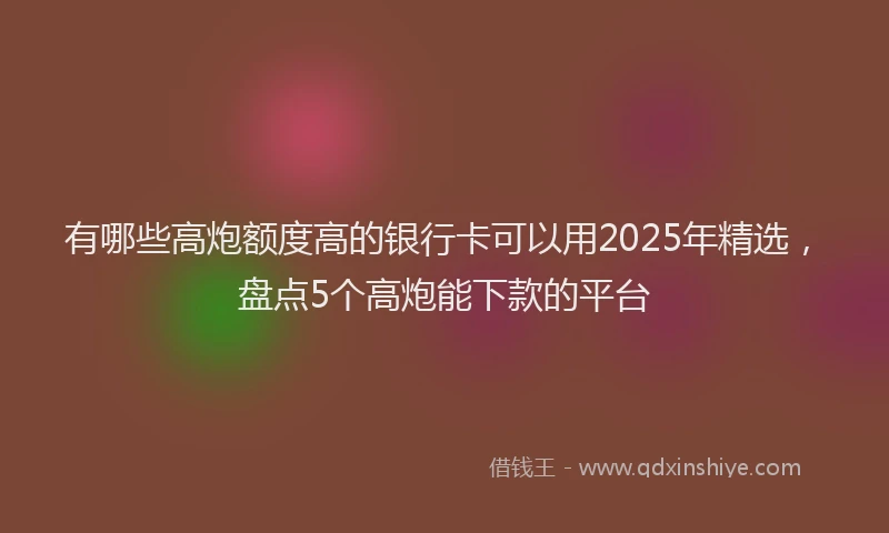 有哪些高炮额度高的银行卡可以用2025年精选，盘点5个高炮能下款的平台