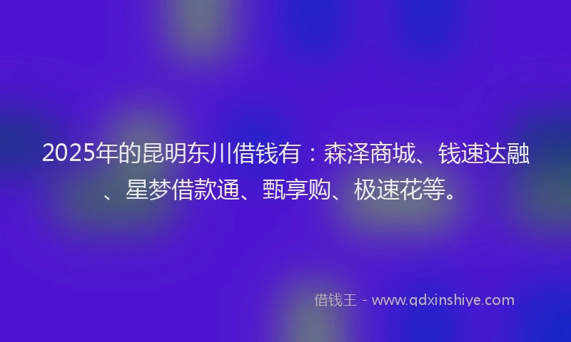2025年的昆明东川借钱有：森泽商城、钱速达融、星梦借款通、甄享购、极速花等。