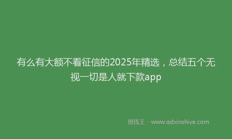 有么有大额不看征信的2025年精选，总结五个无视一切是人就下款app
