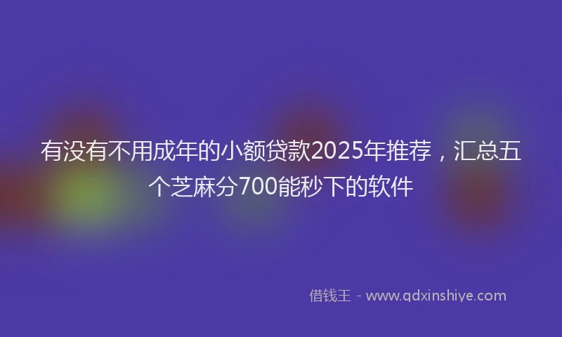 有没有不用成年的小额贷款2025年推荐，汇总五个芝麻分700能秒下的软件