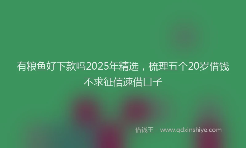 有粮鱼好下款吗2025年精选，梳理五个20岁借钱不求征信速借口子