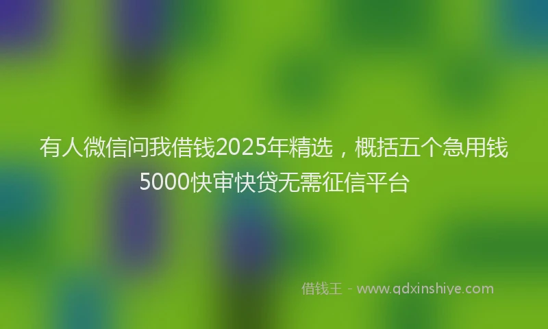 有人微信问我借钱2025年精选，概括五个急用钱5000快审快贷无需征信平台