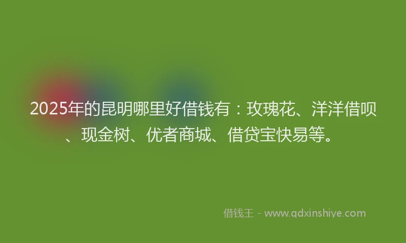 2025年的昆明哪里好借钱有：玫瑰花、洋洋借呗、现金树、优者商城、借贷宝快易等。