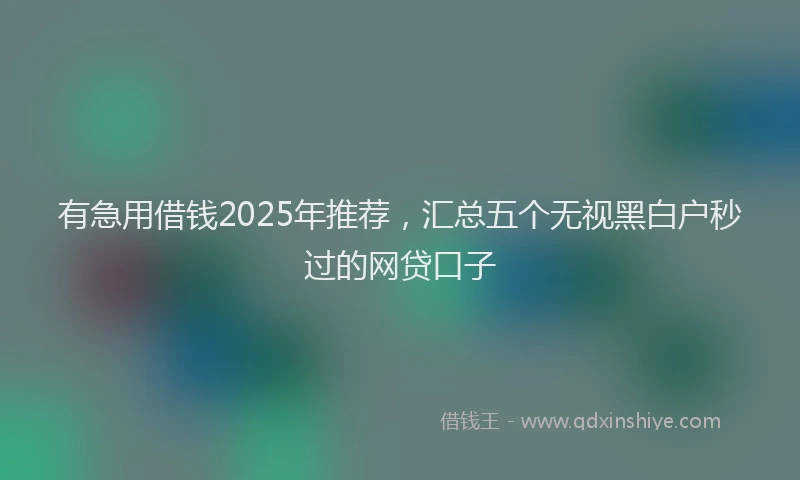 有急用借钱2025年推荐，汇总五个无视黑白户秒过的网贷口子